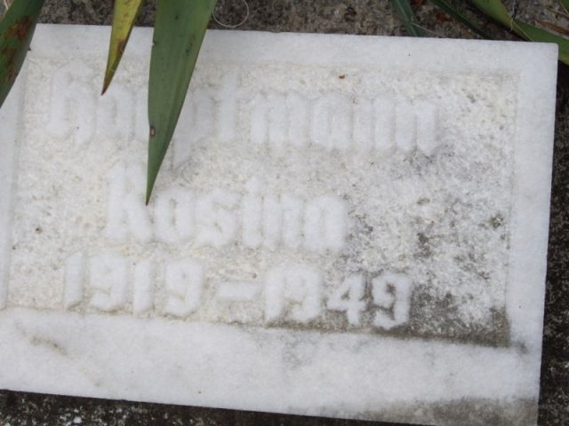 Hauptmann Rosina 1919-1949 Grabstein